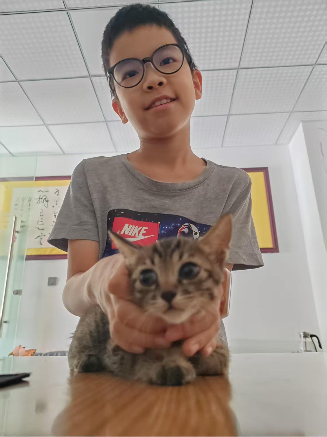 青山双手捧着一只小狸花猫,猫正对着镜头